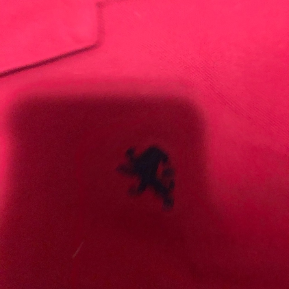 Express polo - Picture 3 of 3